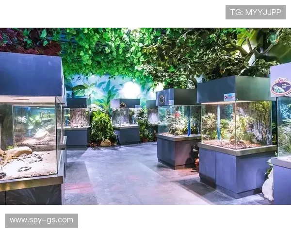 海立方娱乐:丰富的赛事和活动让玩家体验不一样的精彩纷呈